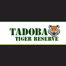 Tadoba Safari Booking's profile image