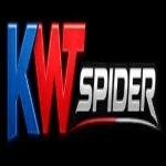 KWT Spider's profile image